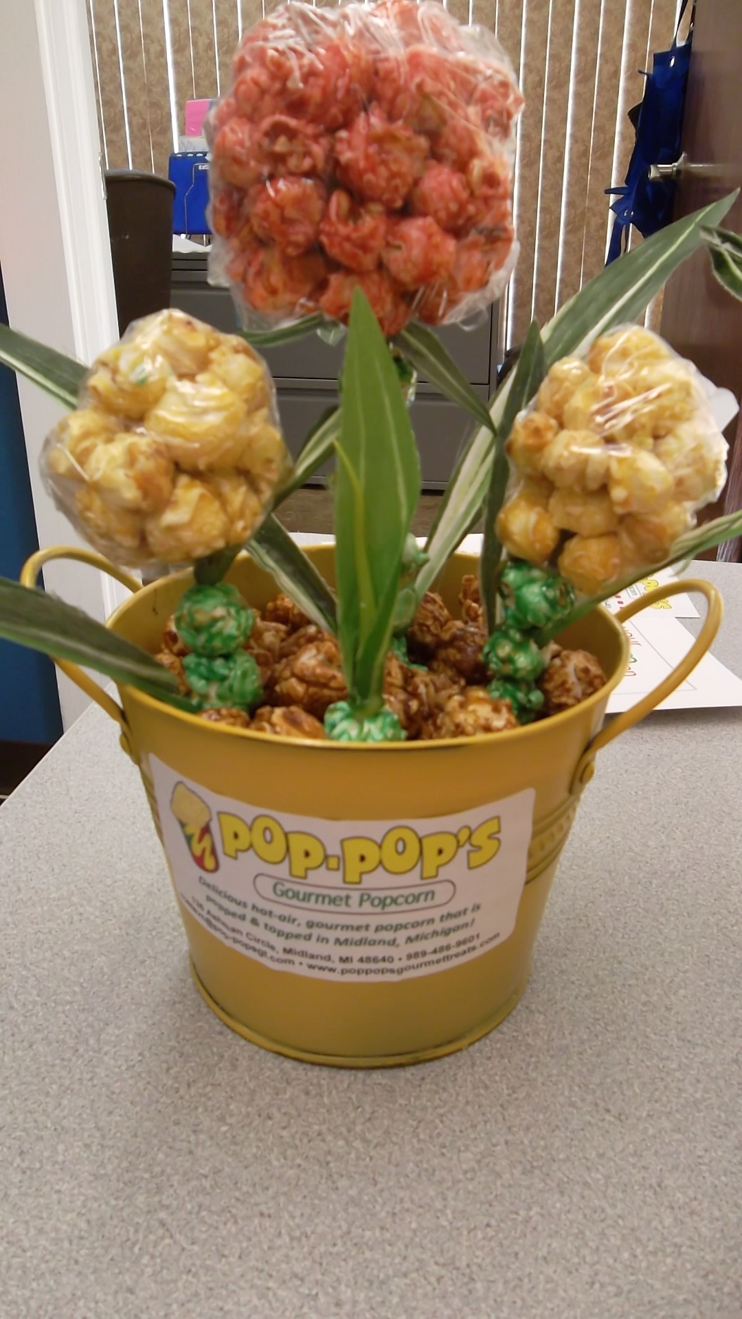 popcorn flower