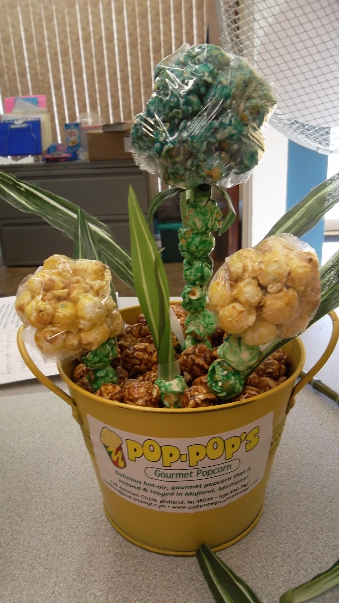 popcorn flower
